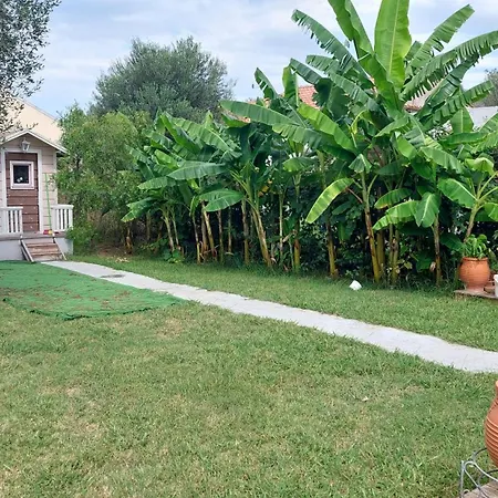 Amelia's Garden I * Kavos