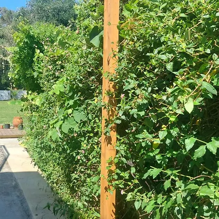 Aparthotel Amelia's Garden I Kavos