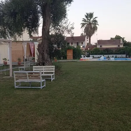 Amelia's Garden I *