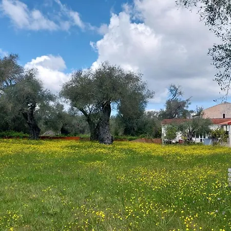 Aparthotel Amelia's Garden I Kavos