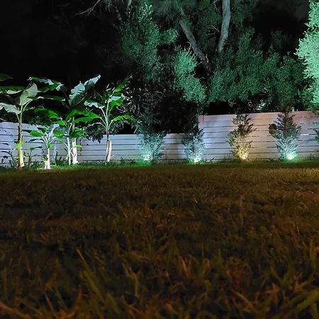Amelia's Garden I