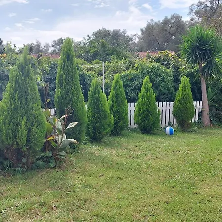 Amelia's Garden I Kávos